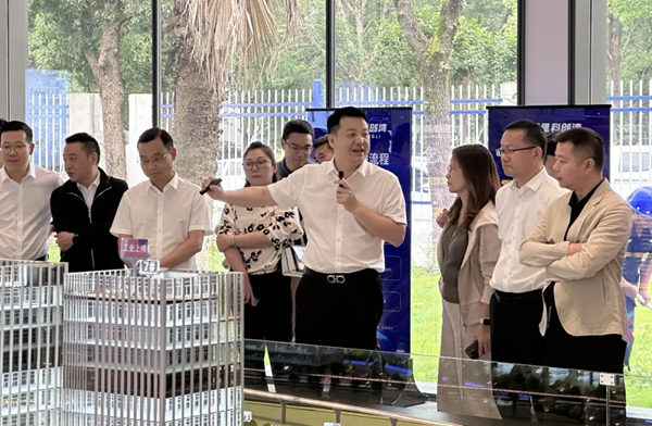 龍灣區政府領導、溫州市軟件行業協會一行蒞臨文昌里科創灣考察調研